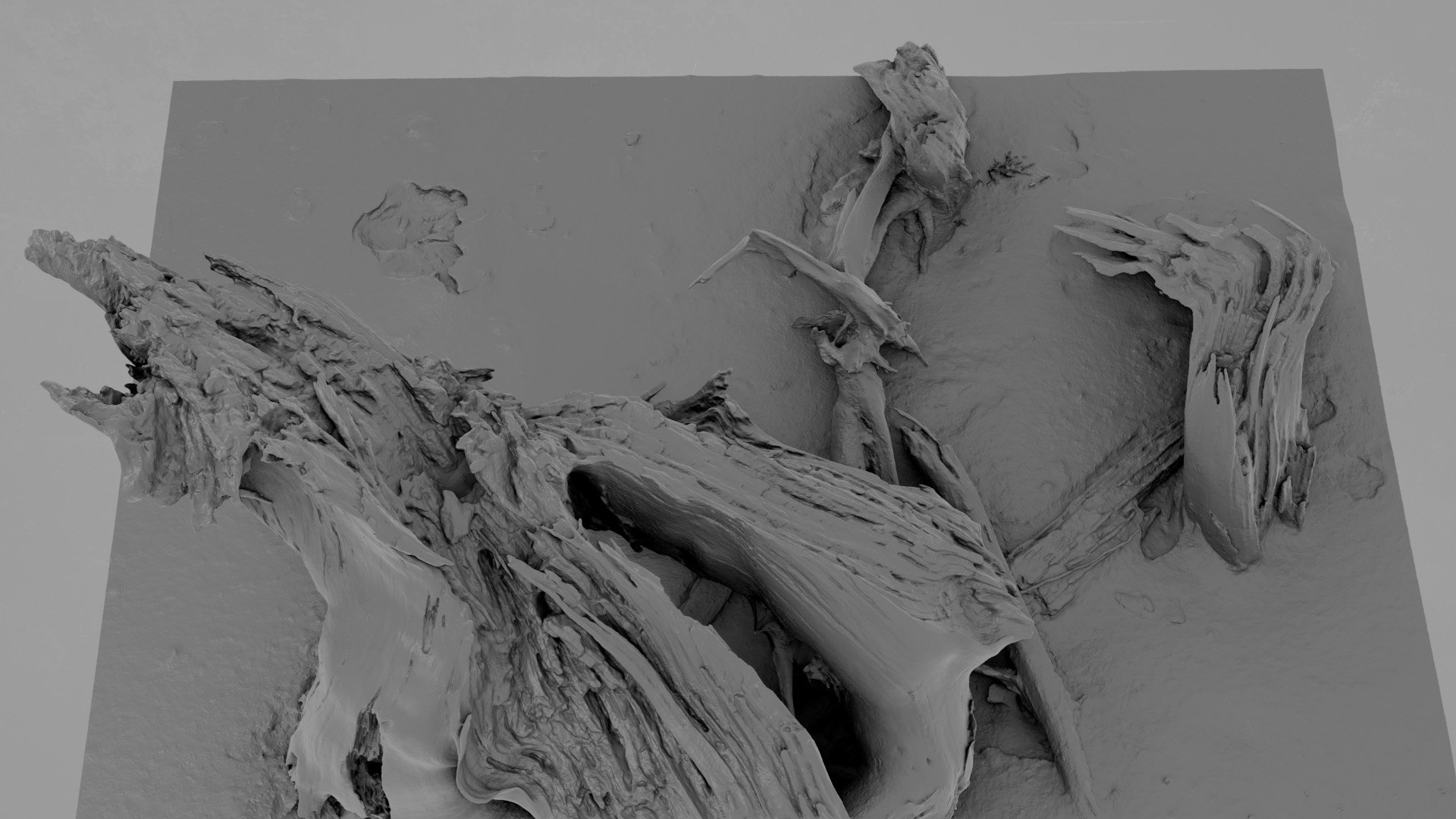 Dead Tree 005 3D Model - TurboSquid 2324905