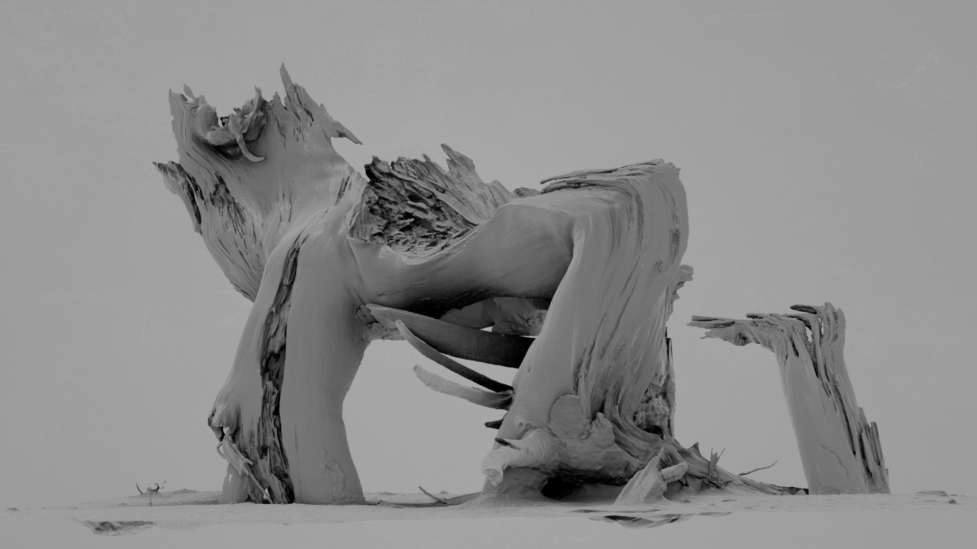 Dead Tree 005 3D model https://p.turbosquid.com/ts-thumb/iz/d7GqTl/Ok/deadtree_05_greyscale_01/jpg/1734288369/1920x1080/fit_q87/fcd2412434c193b56fc94e50057cf9ce7b35296b/deadtree_05_greyscale_01.jpg