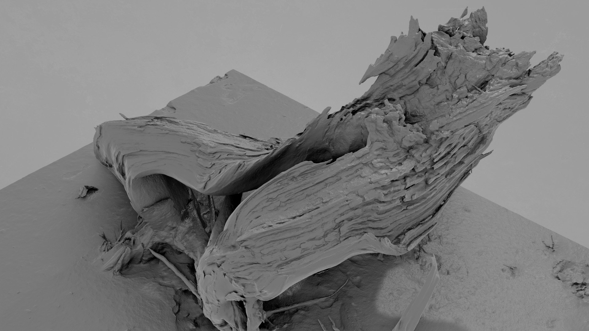 Dead Tree 005 3D model https://p.turbosquid.com/ts-thumb/iz/d7GqTl/Uh/deadtree_05_greyscale_02/jpg/1734288369/1920x1080/fit_q87/7b5d53c13920d6f0e65210a76af699aaefc9b38a/deadtree_05_greyscale_02.jpg