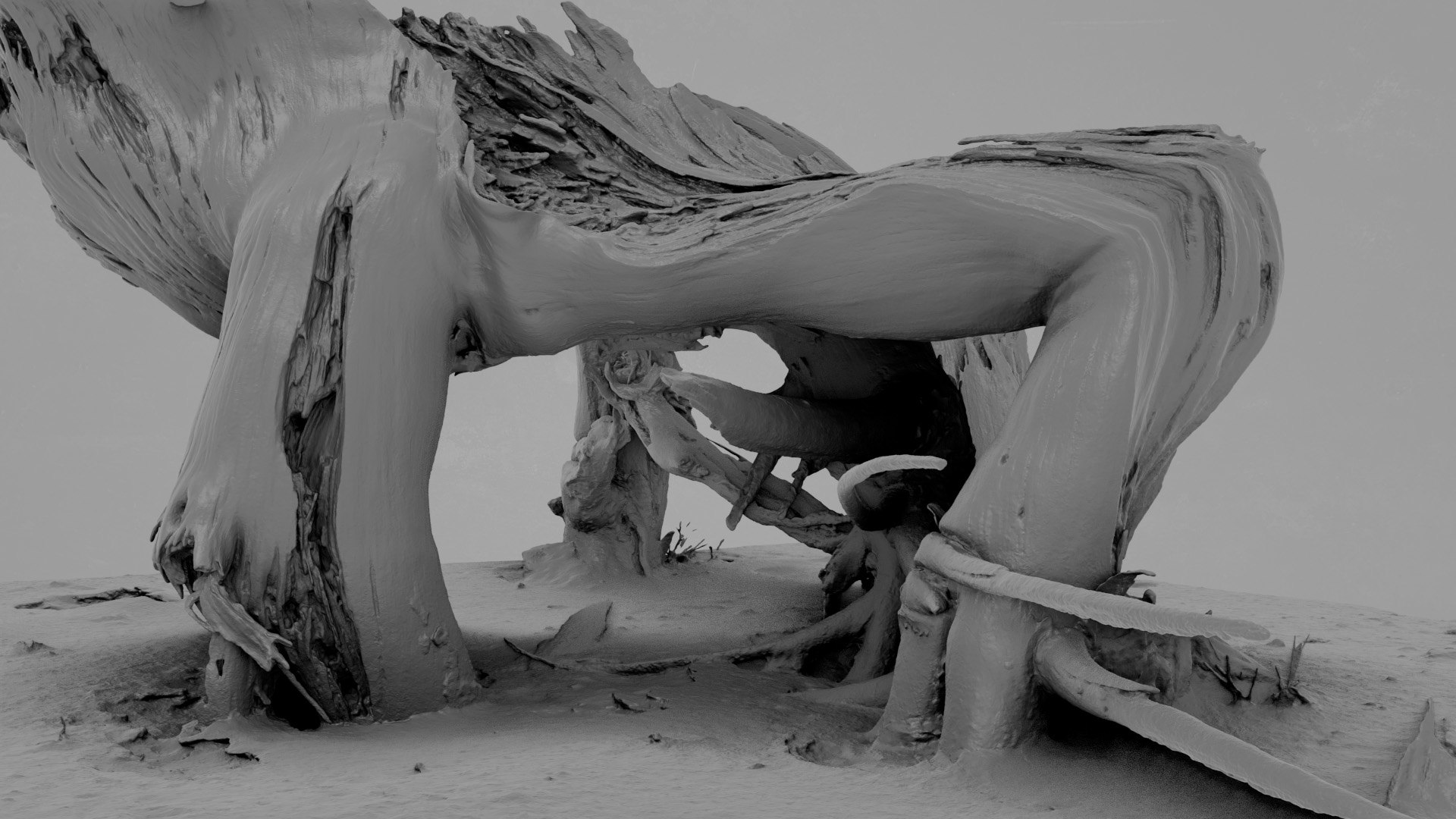Dead Tree 005 3D model https://p.turbosquid.com/ts-thumb/iz/d7GqTl/bt/deadtree_05_greyscale_03/jpg/1734288369/1920x1080/fit_q87/0f9d7d0abcd4c2ffd7b28a1a55093db2a6ad6793/deadtree_05_greyscale_03.jpg