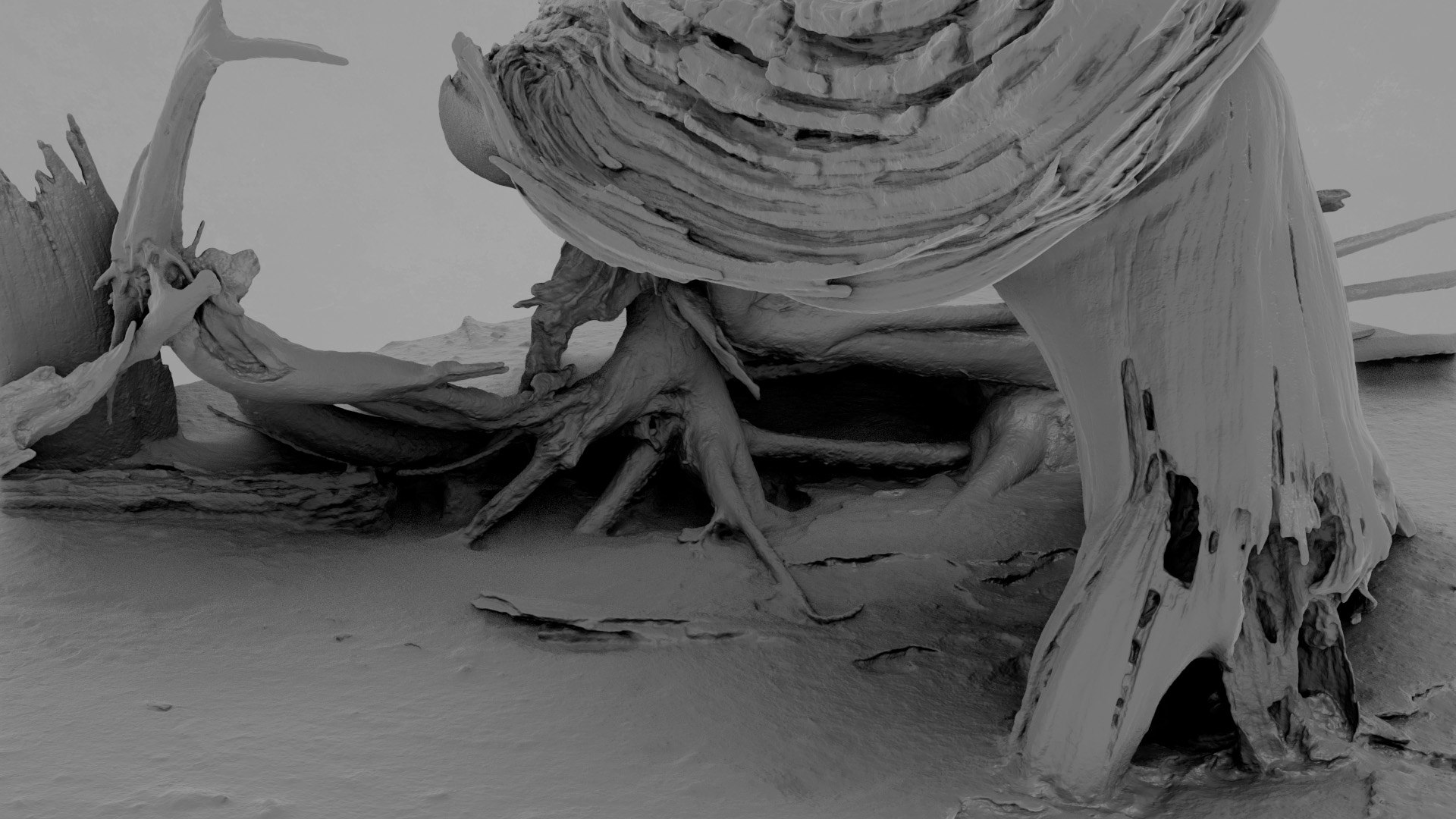 Dead Tree 005 3D model https://p.turbosquid.com/ts-thumb/iz/d7GqTl/uF/deadtree_05_greyscale_05/jpg/1734288370/1920x1080/fit_q87/ff3e2fa51735869fc6ca67a85425c1cb7aead1df/deadtree_05_greyscale_05.jpg
