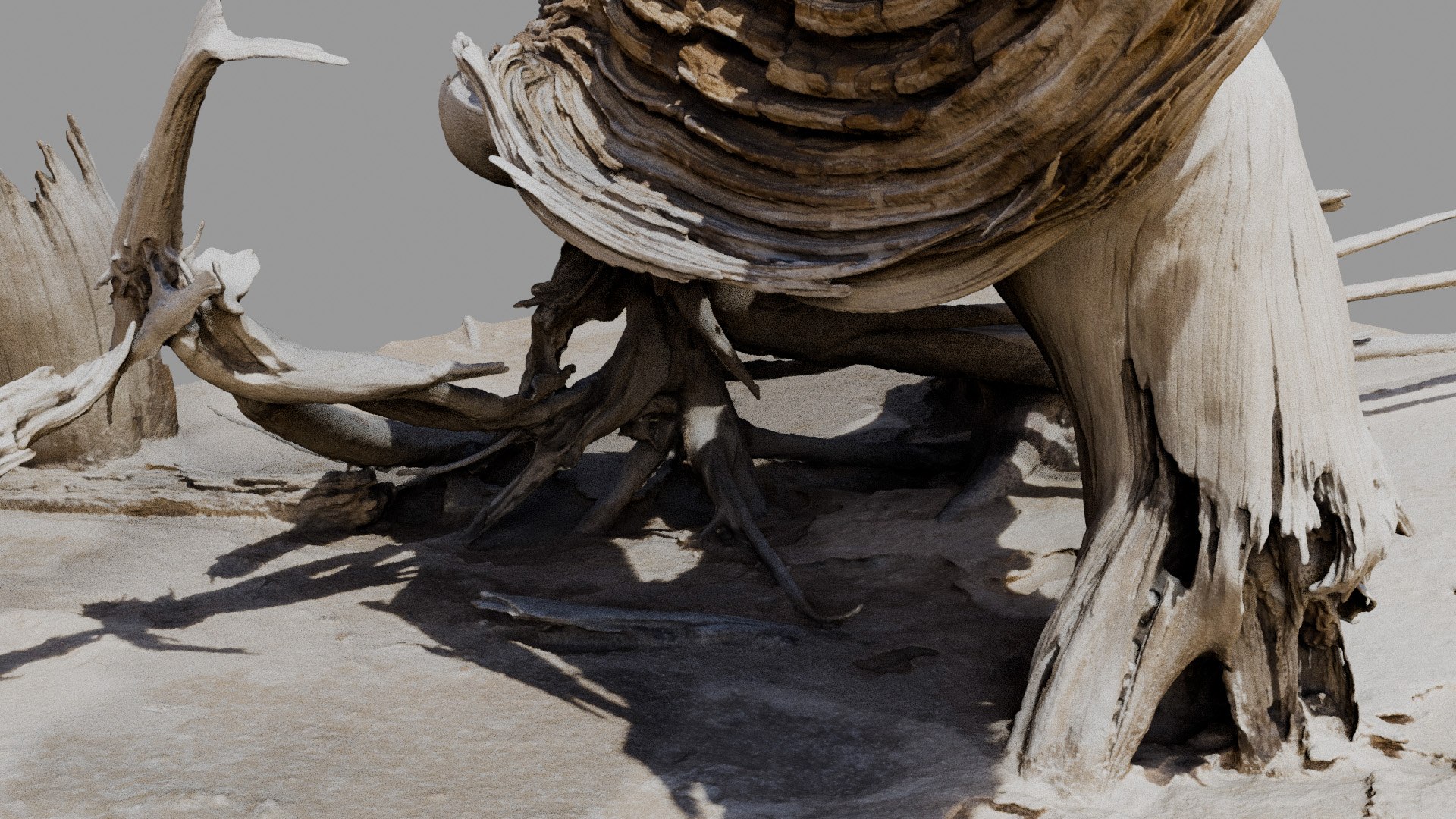 Dead Tree 005 3D model https://p.turbosquid.com/ts-thumb/iz/d7GqTl/ul/deadtree_05_diffuse_05/jpg/1734288361/1920x1080/fit_q87/88774f4009a528b773e2f7f1c52a52c283a40bd7/deadtree_05_diffuse_05.jpg