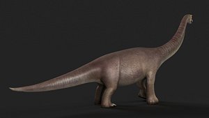 reptile cretaceous jurassic park trex rex dinosaur 3D model
