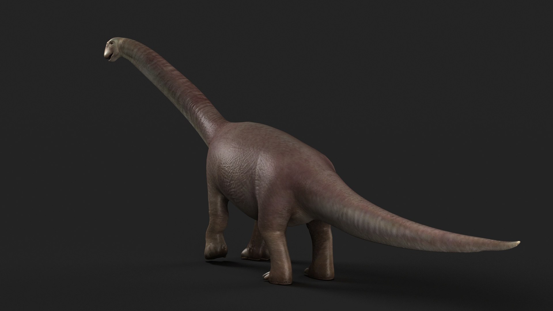 reptile cretaceous jurassic park trex rex dinosaur 3D model https://p.turbosquid.com/ts-thumb/iz/jrVAah/j0/z03/jpg/1713441400/1920x1080/fit_q87/cb06c9e0463ae0327fe13f0a0550aba7f1d9b2bb/z03.jpg