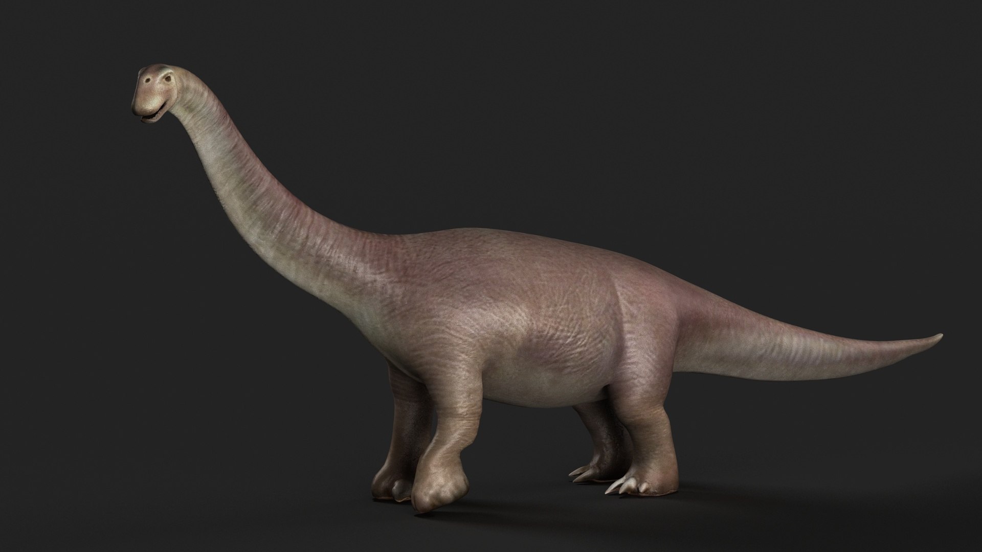 reptile cretaceous jurassic park trex rex dinosaur 3D model https://p.turbosquid.com/ts-thumb/iz/jrVAah/oI/z04/jpg/1713441401/1920x1080/fit_q87/c58f7f1edee3f6bb5facf6709e8059269a730784/z04.jpg