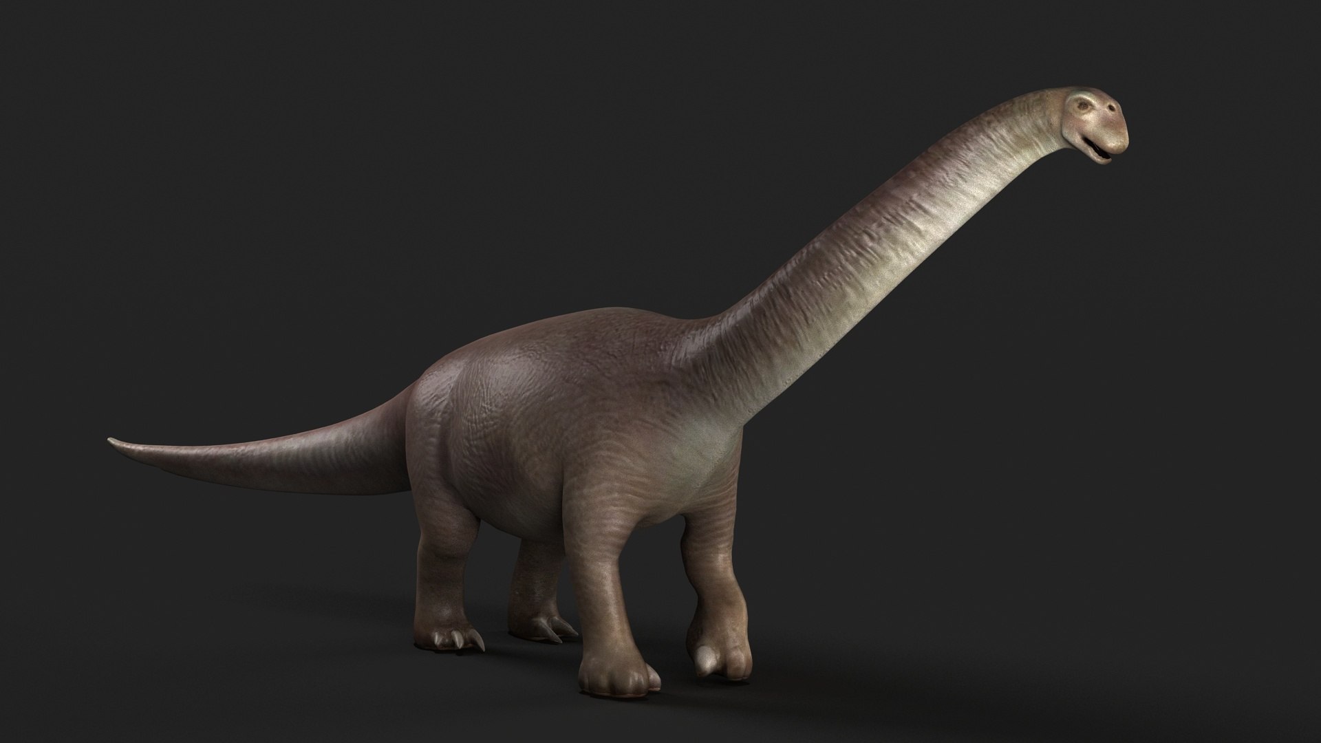 reptile cretaceous jurassic park trex rex dinosaur 3D model https://p.turbosquid.com/ts-thumb/iz/jrVAah/rv/z01/jpg/1713441399/1920x1080/fit_q87/597d1e2dea694c260763e2265b832fd5951fd0b0/z01.jpg