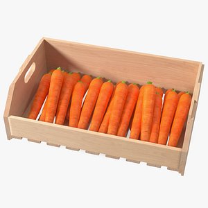 Beech Wood Rack with Carrot 3D model