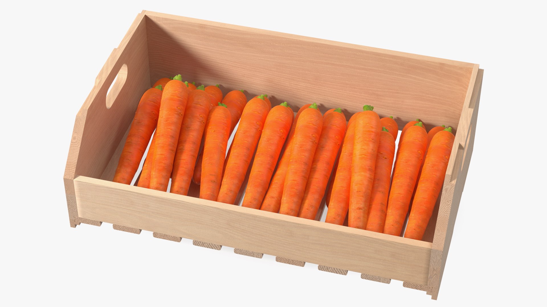 Beech Wood Rack with Carrot 3D model preview