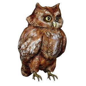 The Owl Bird 3D model