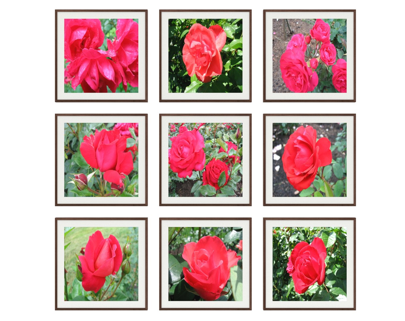 3D pictures flowers photo https://p.turbosquid.com/ts-thumb/iz/wgv7EY/YS/photo_pictures_flowers_17_001/jpg/1608886211/1920x1080/fit_q87/e0d18bffb54b4be0ea81faeb66c731045d668ec1/photo_pictures_flowers_17_001.jpg