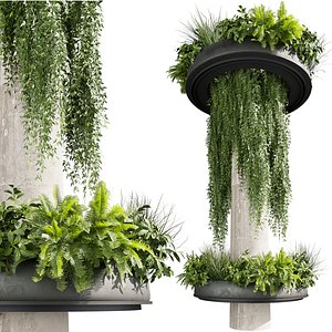 3D Collection plant vol 799
