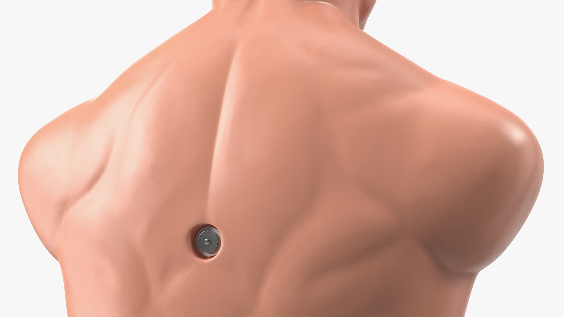century bob body opponent 3D https://p.turbosquid.com/ts-thumb/j0/LpEetZ/IMyI5s5S/centurybobbodyopponenttrainingdummy3dmodel009/jpg/1602803637/1920x1080/fit_q87/e30a4e673cab48f3a45e3a2adcb6a75e3a596c11/centurybobbodyopponenttrainingdummy3dmodel009.jpg