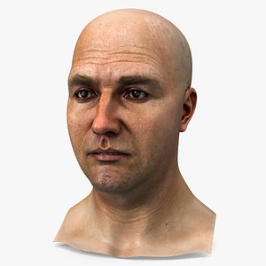 Realistic Adult Male Bald Head