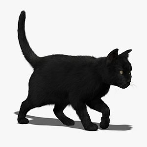 Cat (Black) (FUR) (ANIMATED)