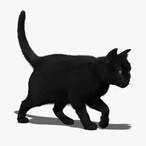 X3d animation black cat. Кот модель. Черный кот 3d модель. Моделька кота для анимации. Модель кошки для анимации.