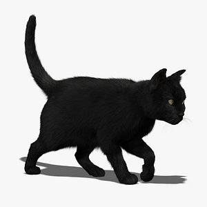 Cat (Black) (FUR) (ANIMATED)