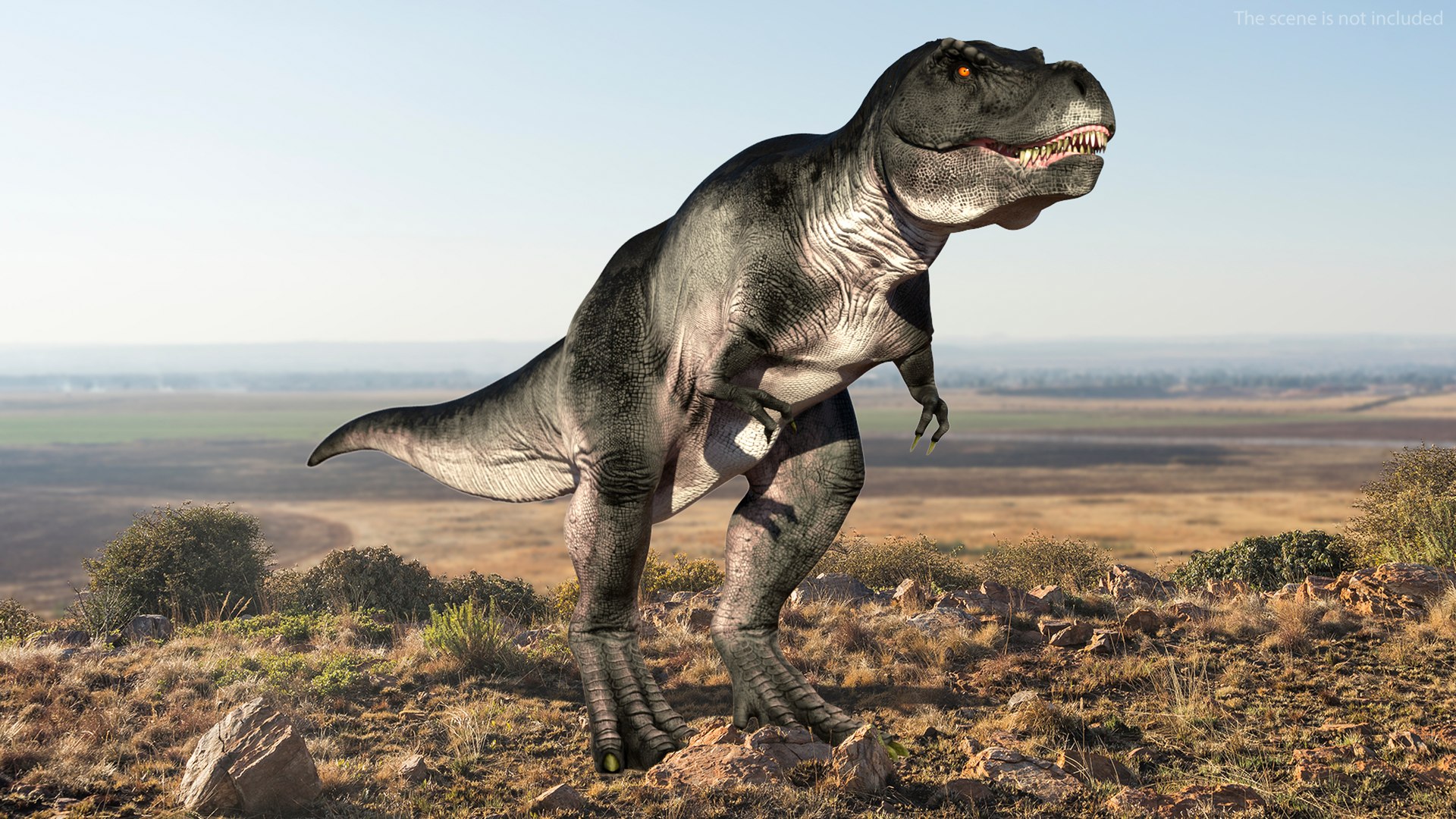 T Rex Idle Animated Rigged for Cinema 4D 3D model preview