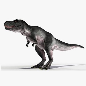 T Rex Idle Animated Rigged for Cinema 4D
