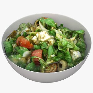 3D bowl salad model