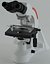microscope micro 3d 3ds