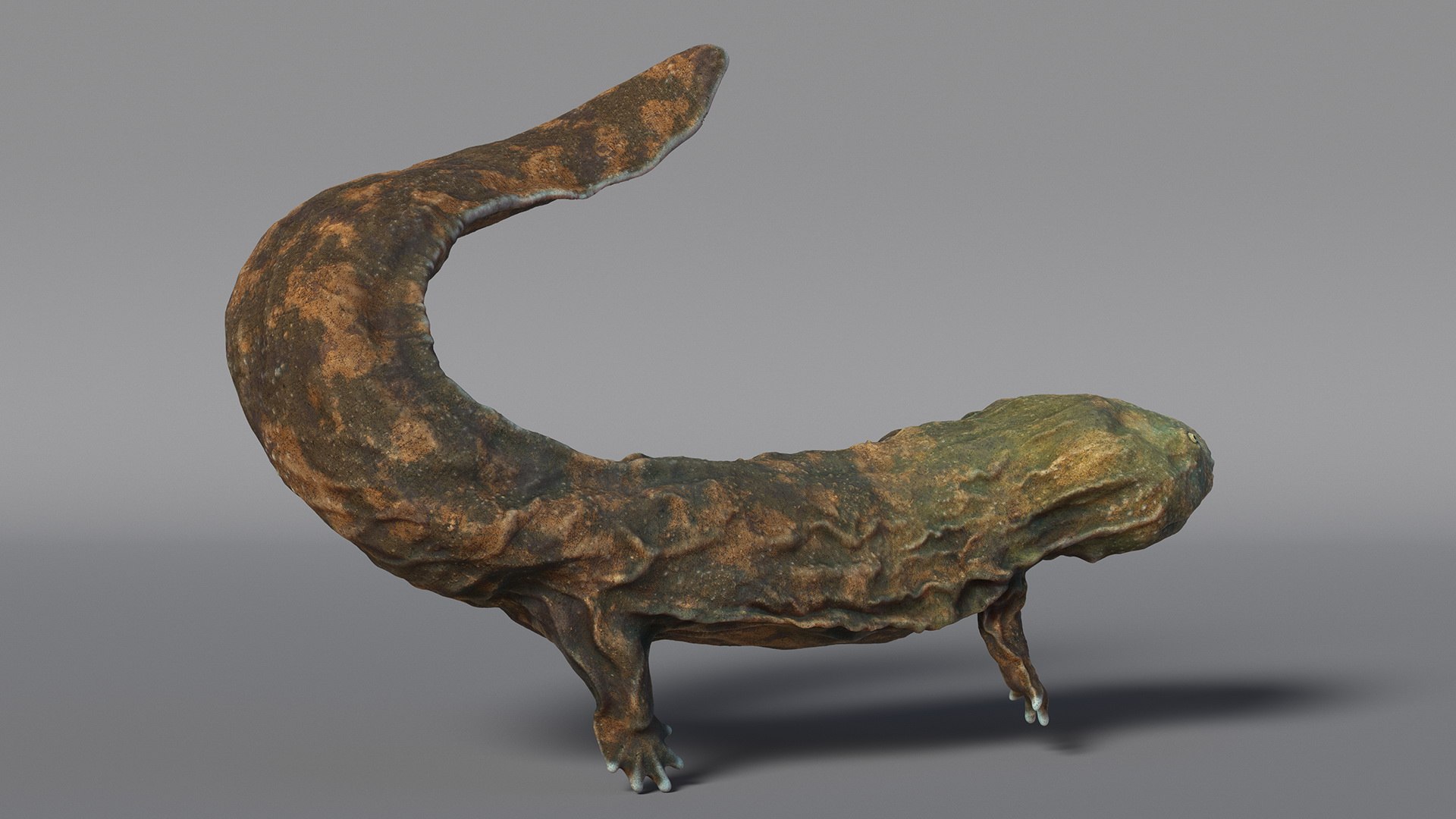 Aquatic Salamander Light Rigged 3D https://p.turbosquid.com/ts-thumb/j0/b6nK5H/Cw/aquaticsalamanderlightrigged3dsmodel012/jpg/1717806239/1920x1080/fit_q87/ff11f7fff5971a489833f9c8173f145e6090508e/aquaticsalamanderlightrigged3dsmodel012.jpg