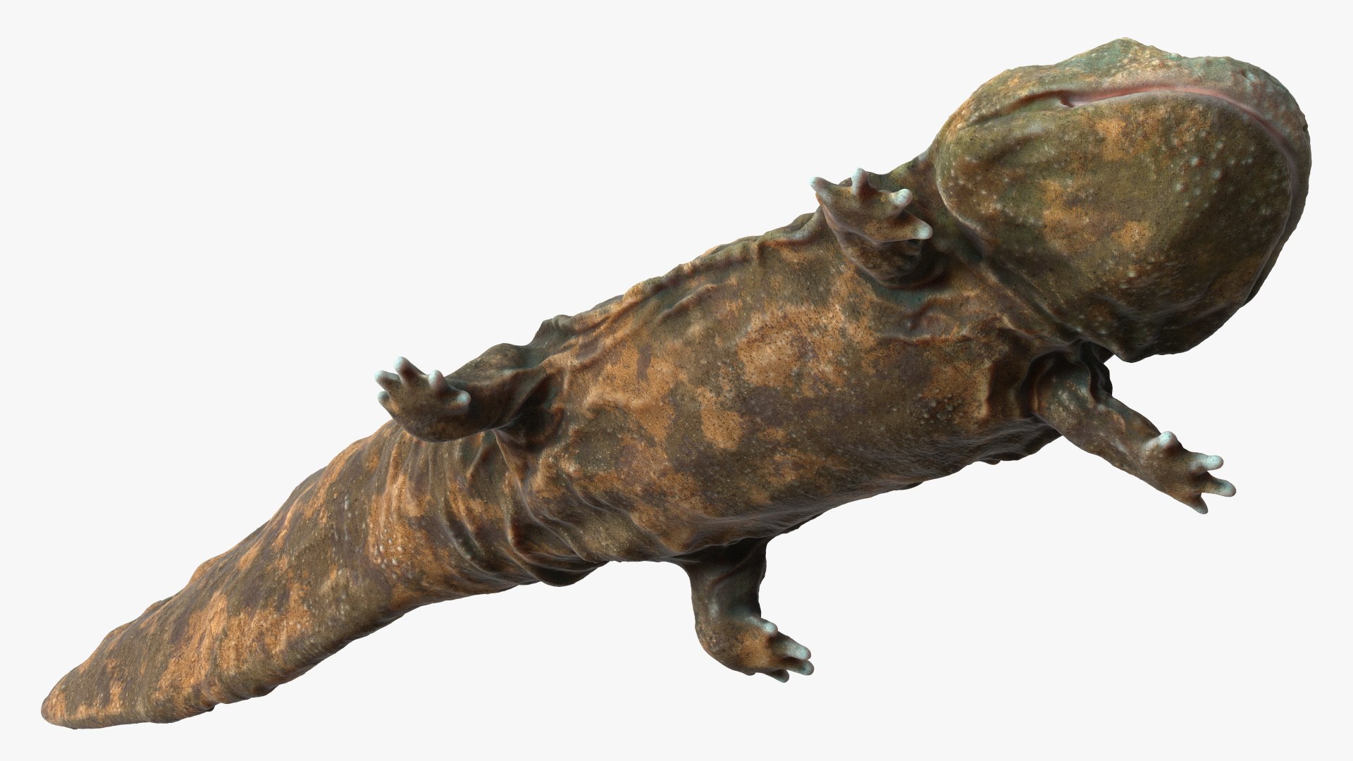 Aquatic Salamander Light Rigged 3D https://p.turbosquid.com/ts-thumb/j0/b6nK5H/DH/aquaticsalamanderlightrigged3dsmodel020/jpg/1717806265/1920x1080/fit_q87/e4b5753e8cc324a9a92a3ceae968a7569b8b22e0/aquaticsalamanderlightrigged3dsmodel020.jpg