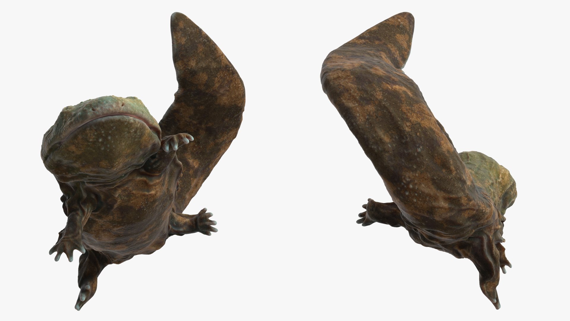Aquatic Salamander Light Rigged 3D https://p.turbosquid.com/ts-thumb/j0/b6nK5H/DM/aquaticsalamanderlightrigged3dsmodel015/jpg/1717806249/1920x1080/fit_q87/e2fd6542b03d64172e6d638687b101a400df34ef/aquaticsalamanderlightrigged3dsmodel015.jpg