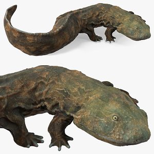 Aquatic Salamander Light Rigged 3D