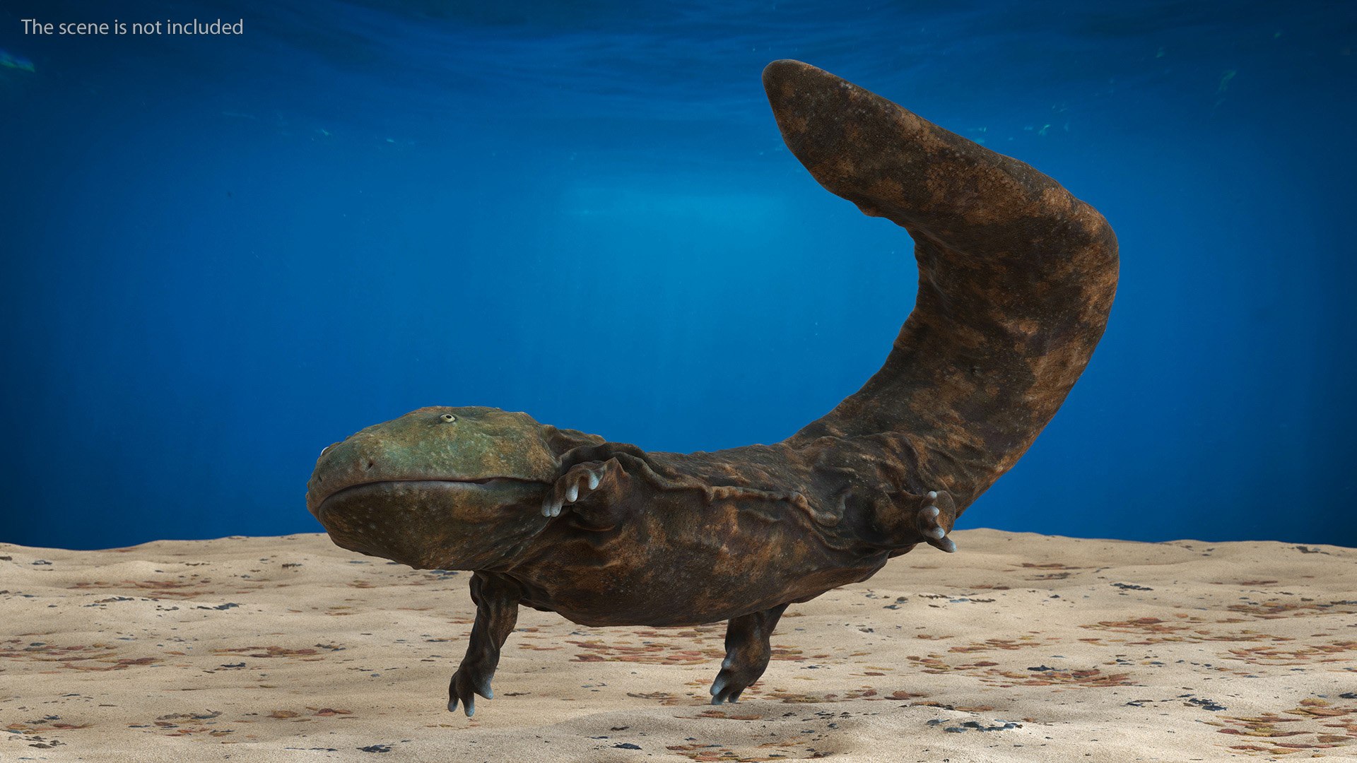 Aquatic Salamander Light Rigged 3D https://p.turbosquid.com/ts-thumb/j0/b6nK5H/aQ/aquaticsalamanderlightrigged3dsmodel004/jpg/1717806211/1920x1080/fit_q87/d0269eb09328432f17dc2b99893c03355bea12bf/aquaticsalamanderlightrigged3dsmodel004.jpg