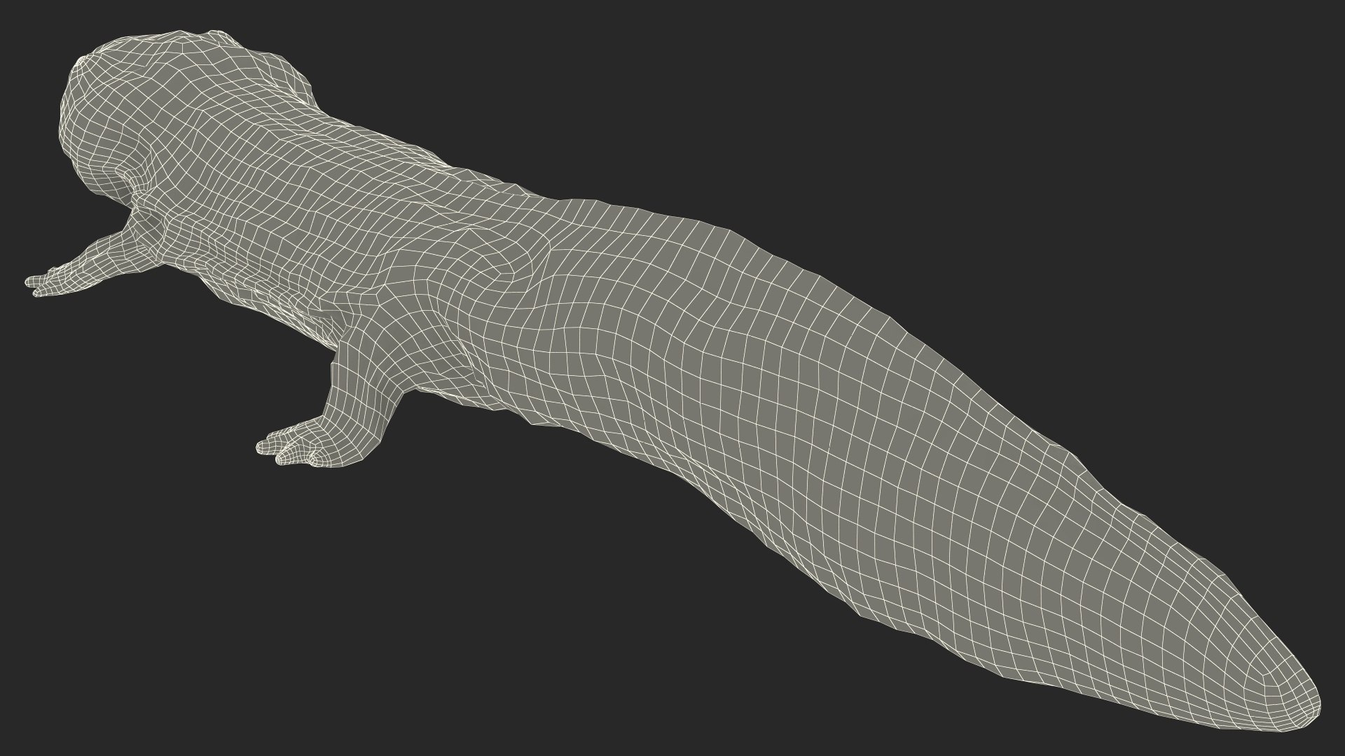 Aquatic Salamander Light Rigged 3D https://p.turbosquid.com/ts-thumb/j0/b6nK5H/ad/aquaticsalamanderlightrigged3dsmodel029/jpg/1717806294/1920x1080/fit_q87/f2b848c1b8ca93d3aa7c19c17eeb6193e9986dec/aquaticsalamanderlightrigged3dsmodel029.jpg