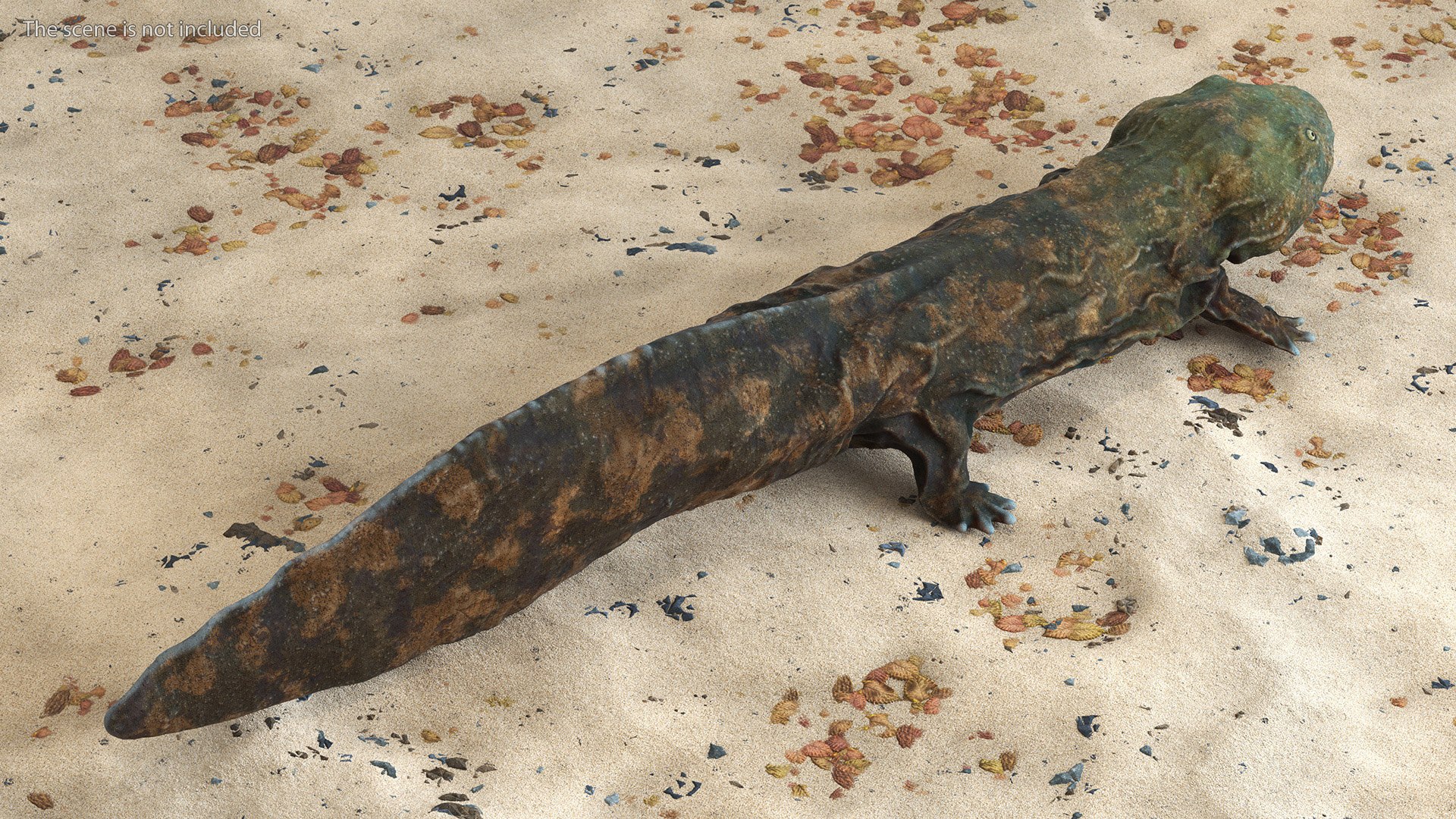 Aquatic Salamander Light Rigged 3D https://p.turbosquid.com/ts-thumb/j0/b6nK5H/sR/aquaticsalamanderlightrigged3dsmodel007/jpg/1717806222/1920x1080/fit_q87/5c4c38d7e5016900c72dbc352ec71e7e66118a80/aquaticsalamanderlightrigged3dsmodel007.jpg