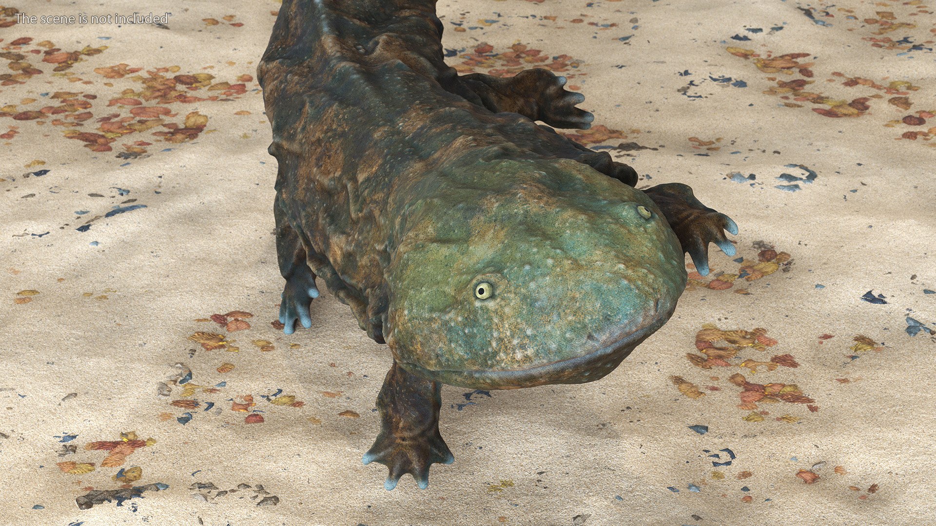Aquatic Salamander Light Rigged 3D https://p.turbosquid.com/ts-thumb/j0/b6nK5H/tE/aquaticsalamanderlightrigged3dsmodel010/jpg/1717806233/1920x1080/fit_q87/64a11455b65d5c099e1a69e6a8baf8164e74f299/aquaticsalamanderlightrigged3dsmodel010.jpg