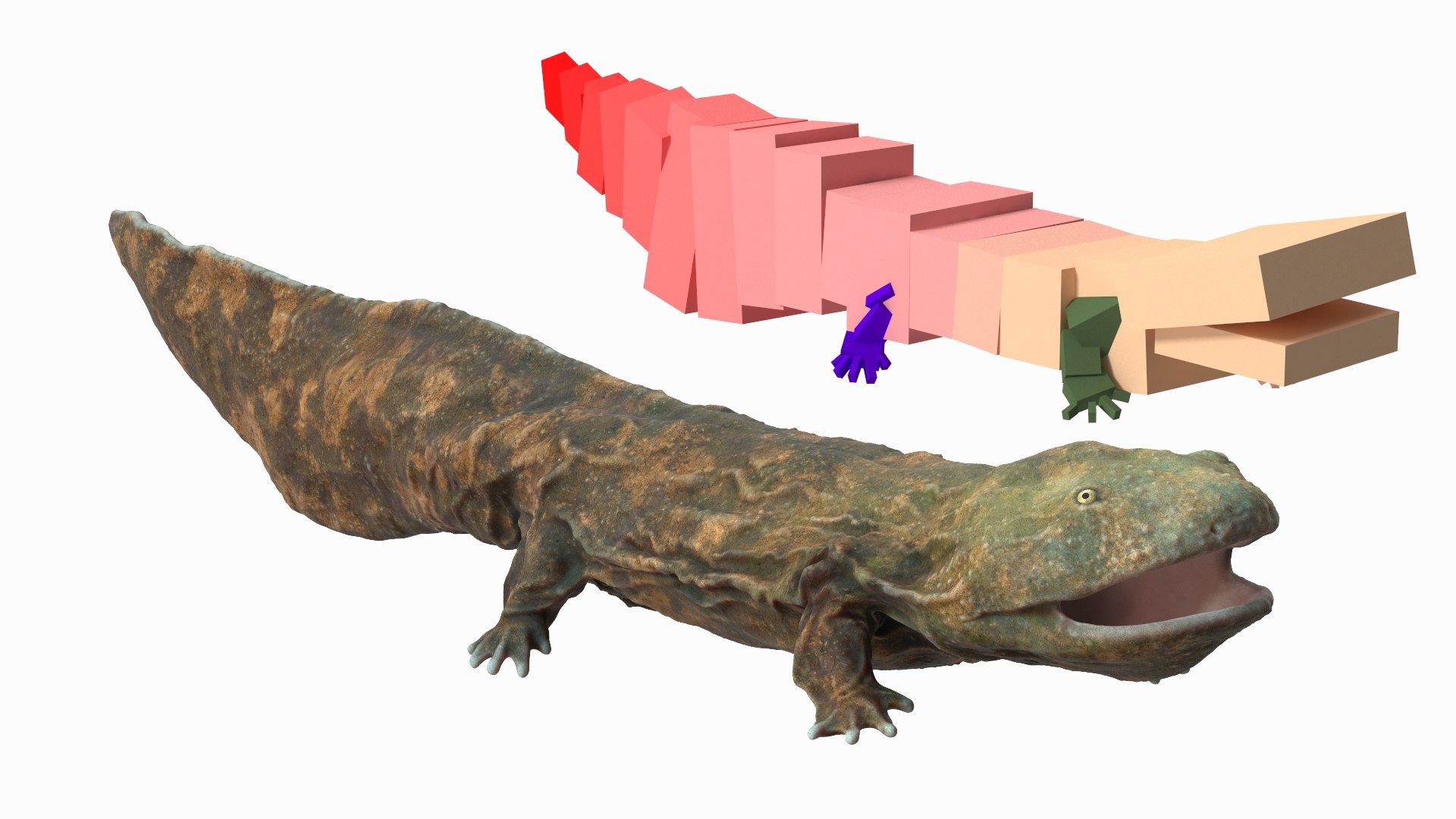Aquatic Salamander Light Rigged 3D https://p.turbosquid.com/ts-thumb/j0/b6nK5H/ux/aquaticsalamanderlightrigged3dsmodel002/jpg/1717806204/1920x1080/fit_q87/ab98ed7b2bf480a791b0cba2ff3fe949dae7c2a0/aquaticsalamanderlightrigged3dsmodel002.jpg
