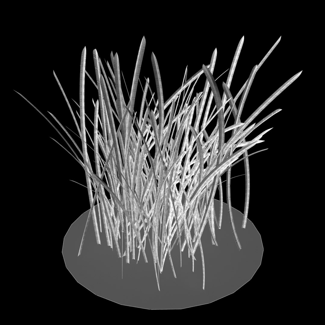 Photorealistic Grass 3d Model