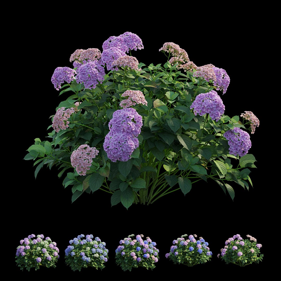 plant set model https://p.turbosquid.com/ts-thumb/j0/kLWTnC/0EUgSz6W/view05/jpg/1598297913/1920x1080/fit_q87/3bdd9d88edaa52404e87af705ea73a11646759bd/view05.jpg