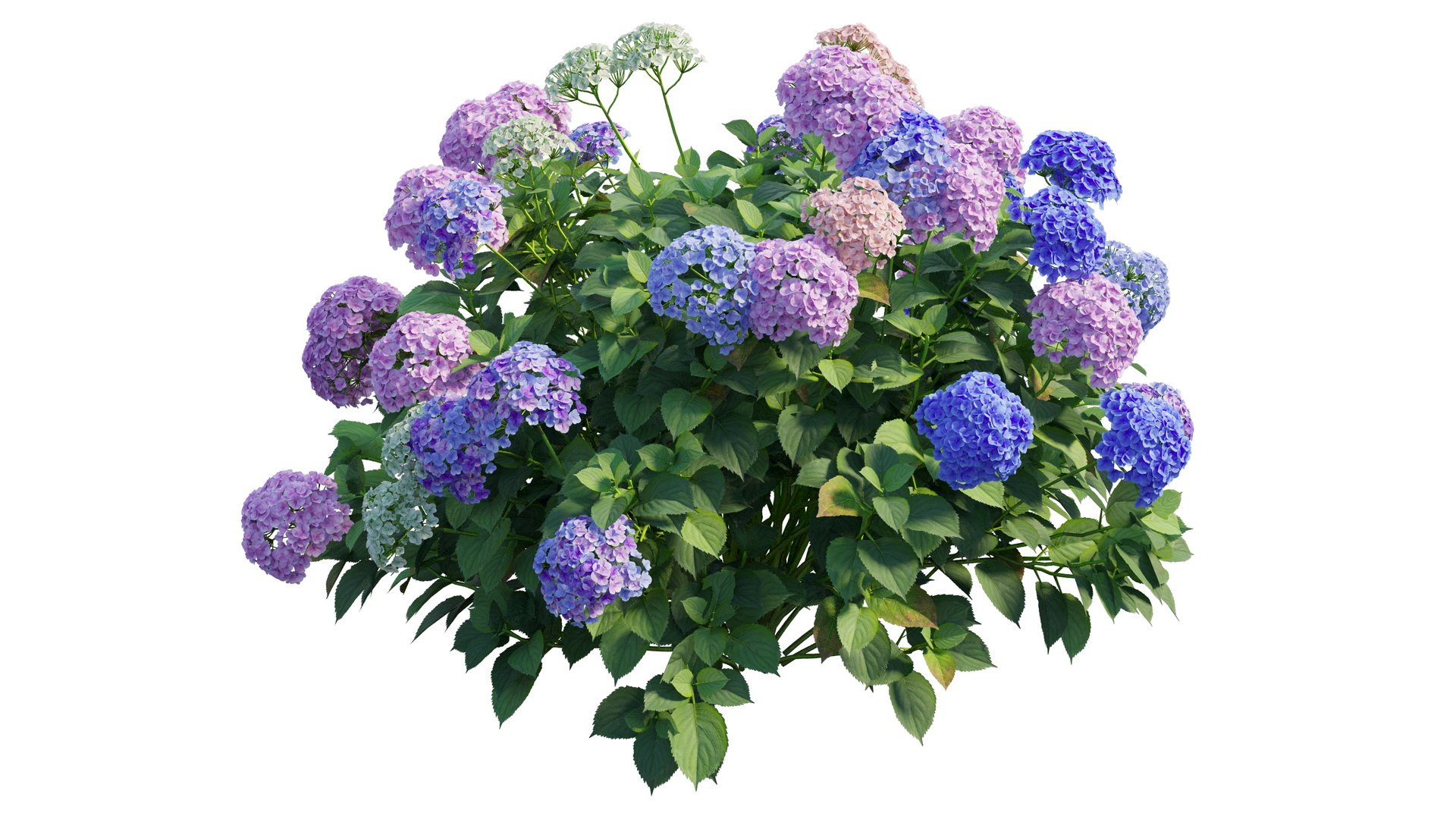 plant set model https://p.turbosquid.com/ts-thumb/j0/kLWTnC/0JnnOGiO/6_interactivelightmix/png/1598297955/1920x1080/fit_q87/ac09af865de9b3ea6cb91cee7779c1fd2cace4f1/6_interactivelightmix.jpg