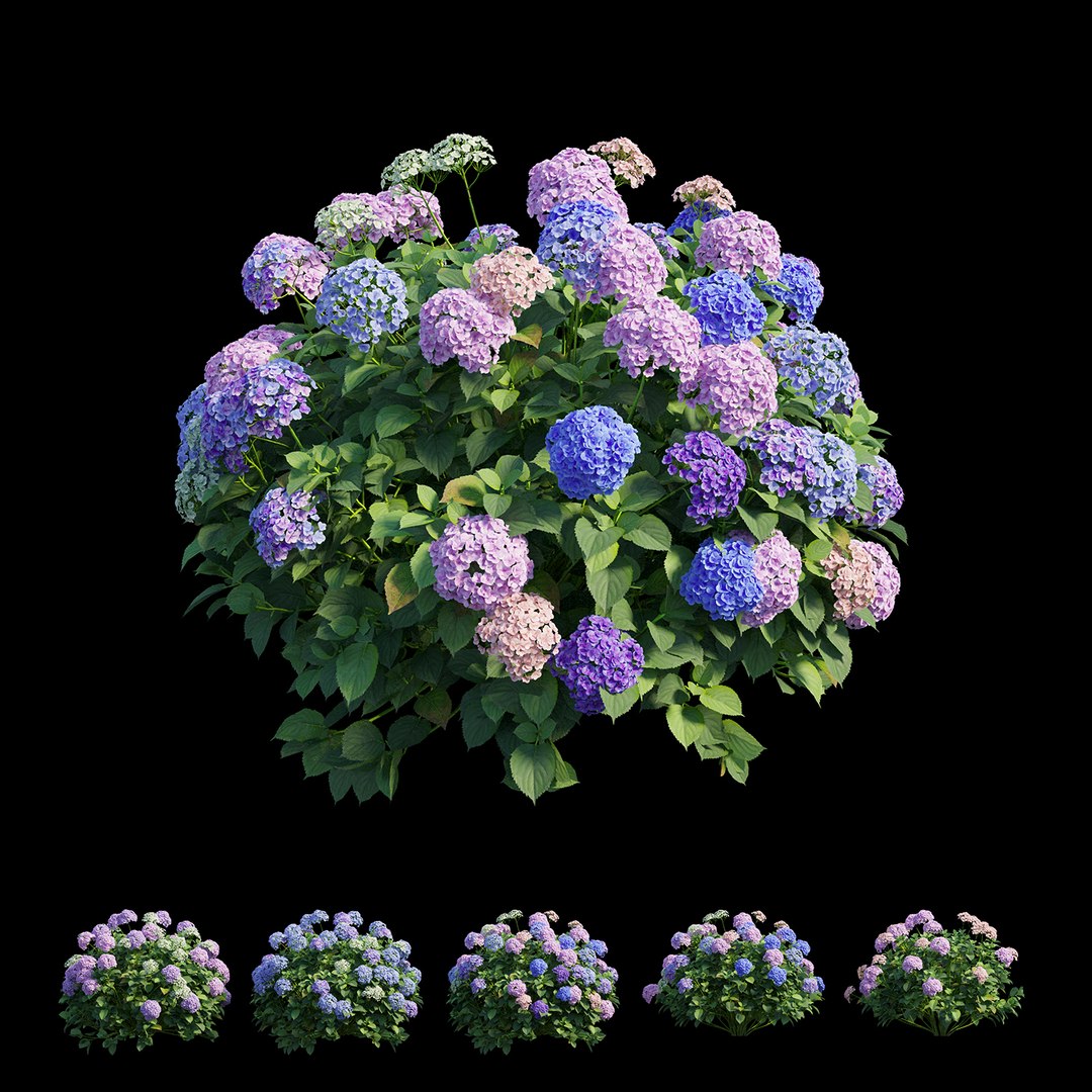 plant set model https://p.turbosquid.com/ts-thumb/j0/kLWTnC/903CM0Z2/view03/jpg/1598297912/1920x1080/fit_q87/df4f152008994ed959b544d2a6041a6d29088da9/view03.jpg