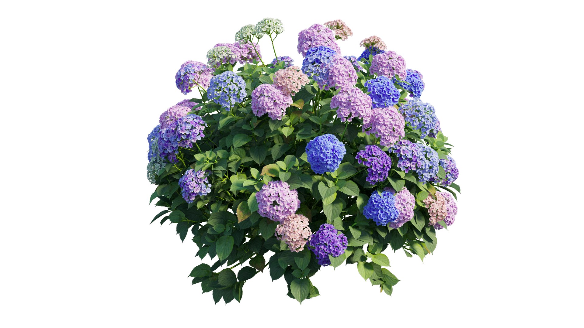 plant set model https://p.turbosquid.com/ts-thumb/j0/kLWTnC/9xoKrWPG/4_interactivelightmix/png/1598297955/1920x1080/fit_q87/d4c064a3ed338393d279f490308329c41434749e/4_interactivelightmix.jpg