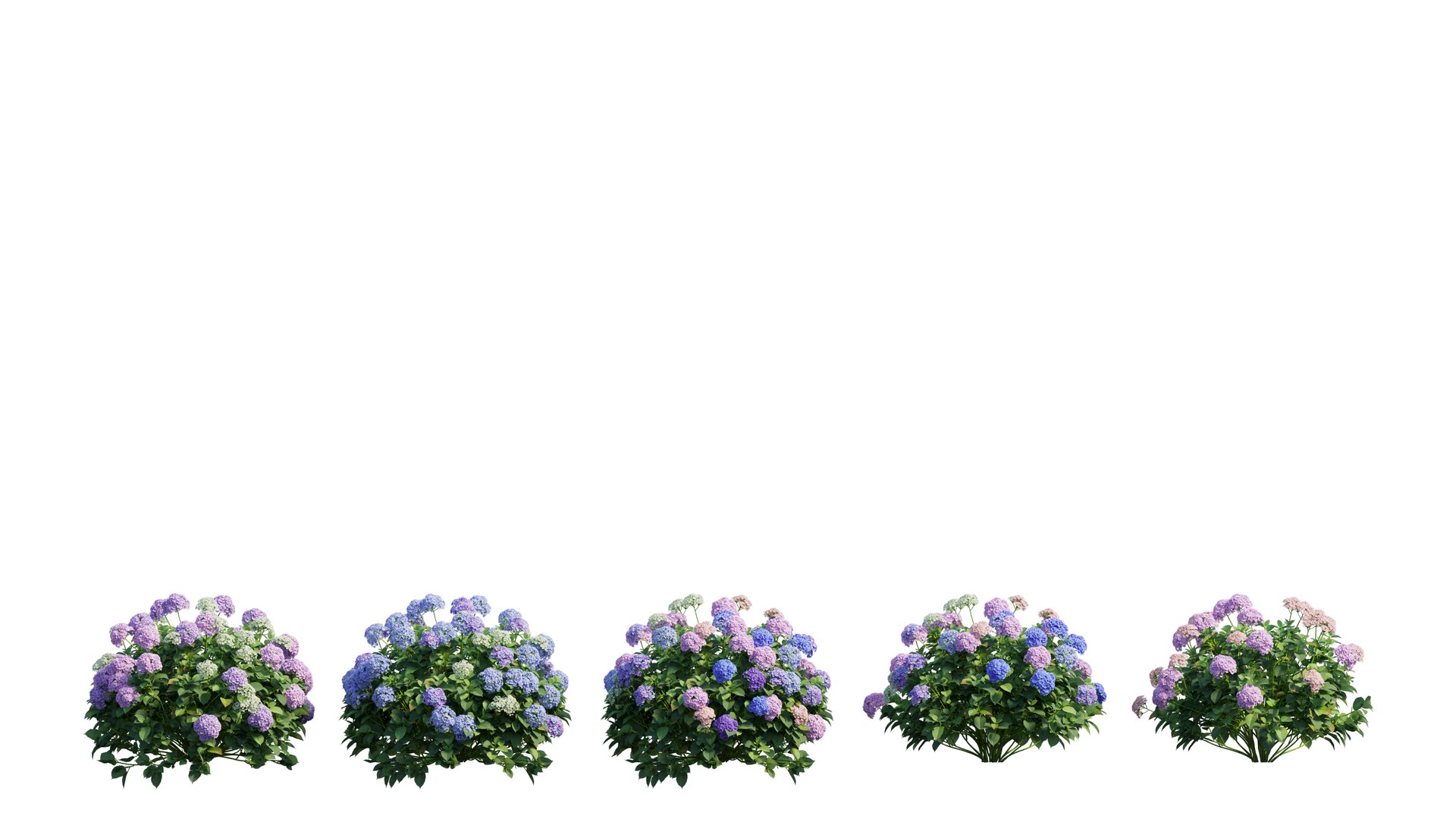 plant set model https://p.turbosquid.com/ts-thumb/j0/kLWTnC/GZZ4JPEr/1_interactivelightmix/png/1598297952/1920x1080/fit_q87/fbeeed4dacfca6e3dc19abba97f310f001fa84bc/1_interactivelightmix.jpg