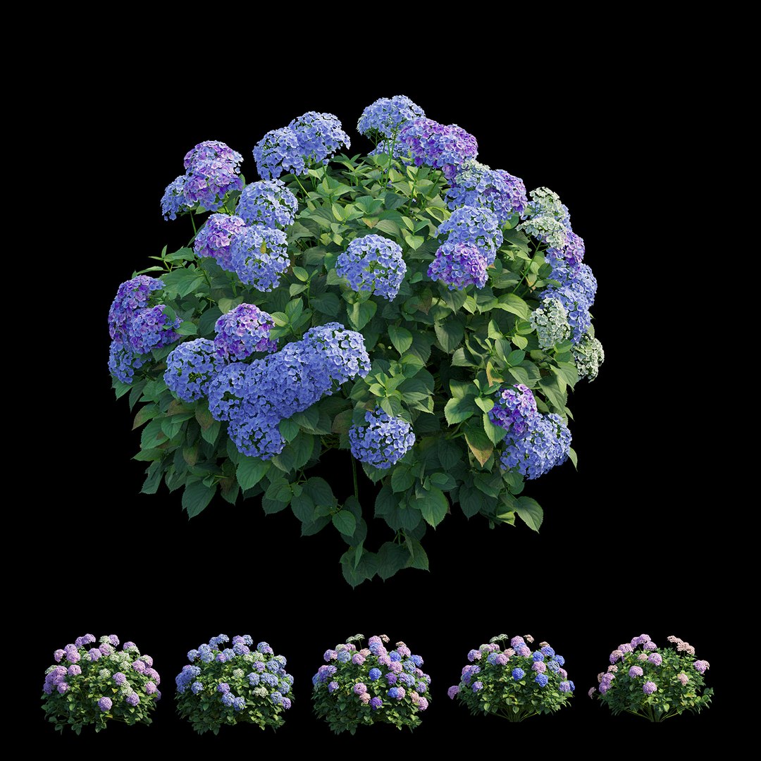 plant set model https://p.turbosquid.com/ts-thumb/j0/kLWTnC/Yzslu9UH/view02/jpg/1598297912/1920x1080/fit_q87/50fed18528566da40a169ee0a88572677435d8ce/view02.jpg