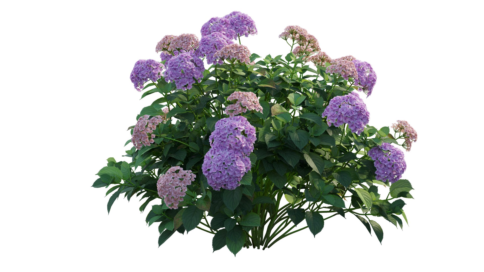 plant set model https://p.turbosquid.com/ts-thumb/j0/kLWTnC/ZvxrR2JW/7_interactivelightmix/png/1598297956/1920x1080/fit_q87/5f5572bc6cee0a350226e633b7d5c9ddea233141/7_interactivelightmix.jpg