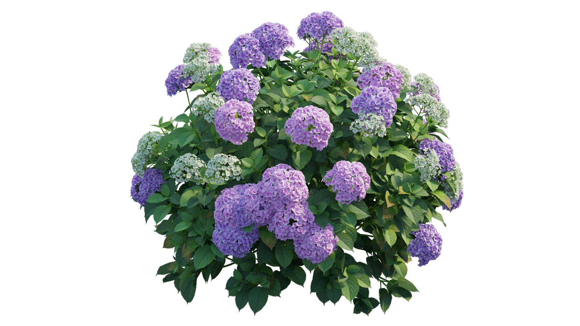 plant set model https://p.turbosquid.com/ts-thumb/j0/kLWTnC/r0ECztXM/2_interactivelightmix/png/1598297954/1920x1080/fit_q87/ada192140f0c4d4be89afad2beb22f86699c06a9/2_interactivelightmix.jpg