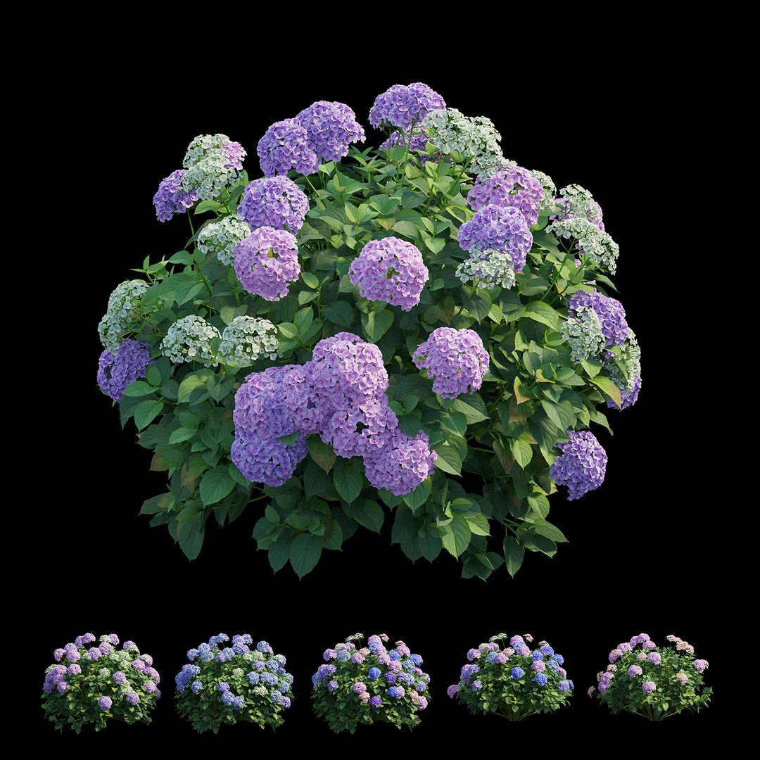 plant set model https://p.turbosquid.com/ts-thumb/j0/kLWTnC/tVRZpaEU/view01/jpg/1598297913/1920x1080/fit_q87/1df50c6be708924f11a523286aee7a03aa2f9fed/view01.jpg