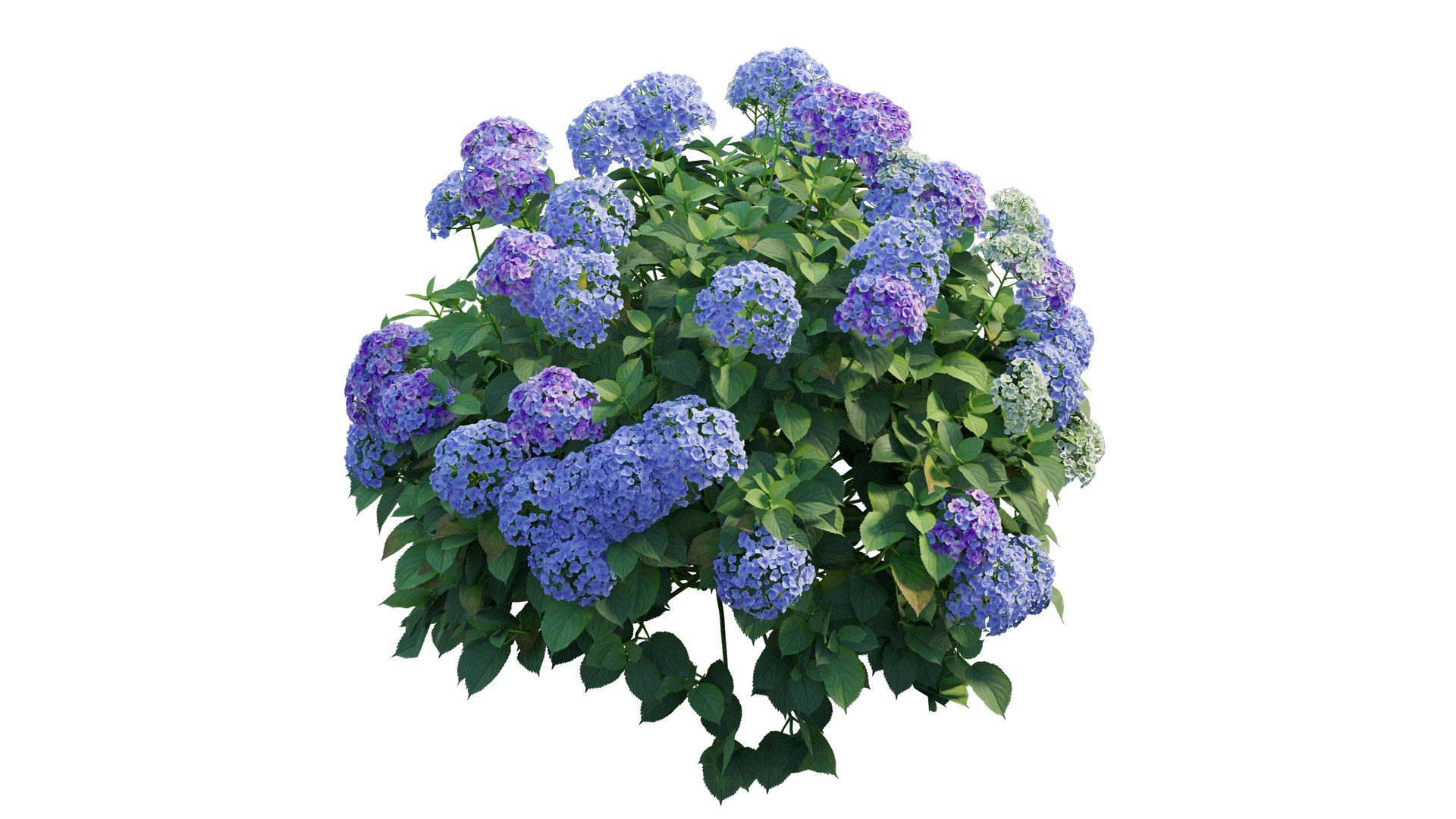 plant set model https://p.turbosquid.com/ts-thumb/j0/kLWTnC/y2w05Cv9/3_interactivelightmix/png/1598297954/1920x1080/fit_q87/ab8f47e90bf004a518dc1dac661c42412d5726d9/3_interactivelightmix.jpg