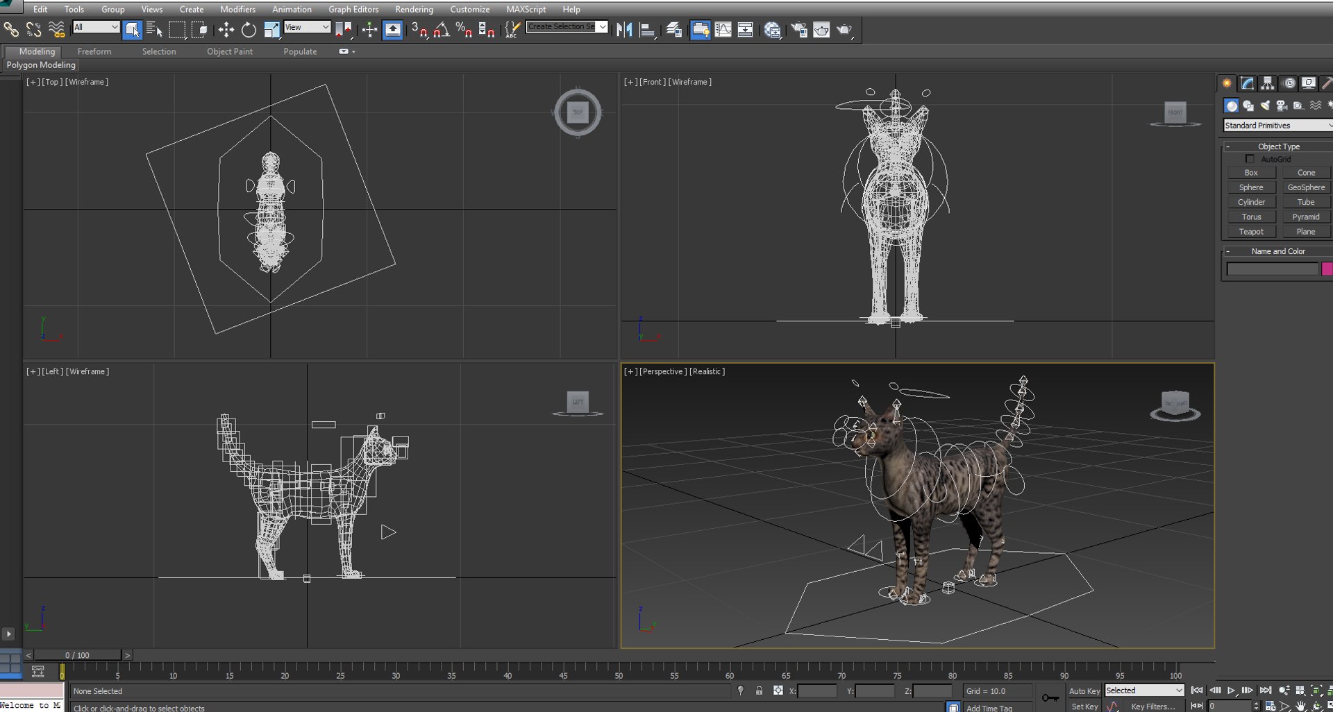3D Cat Rigged - TurboSquid 1197890