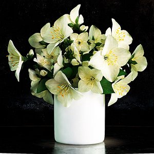 3d jasmine flower vase