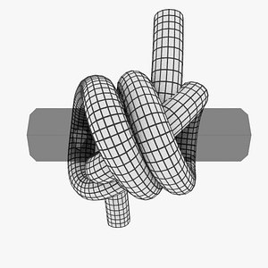 3D model knot