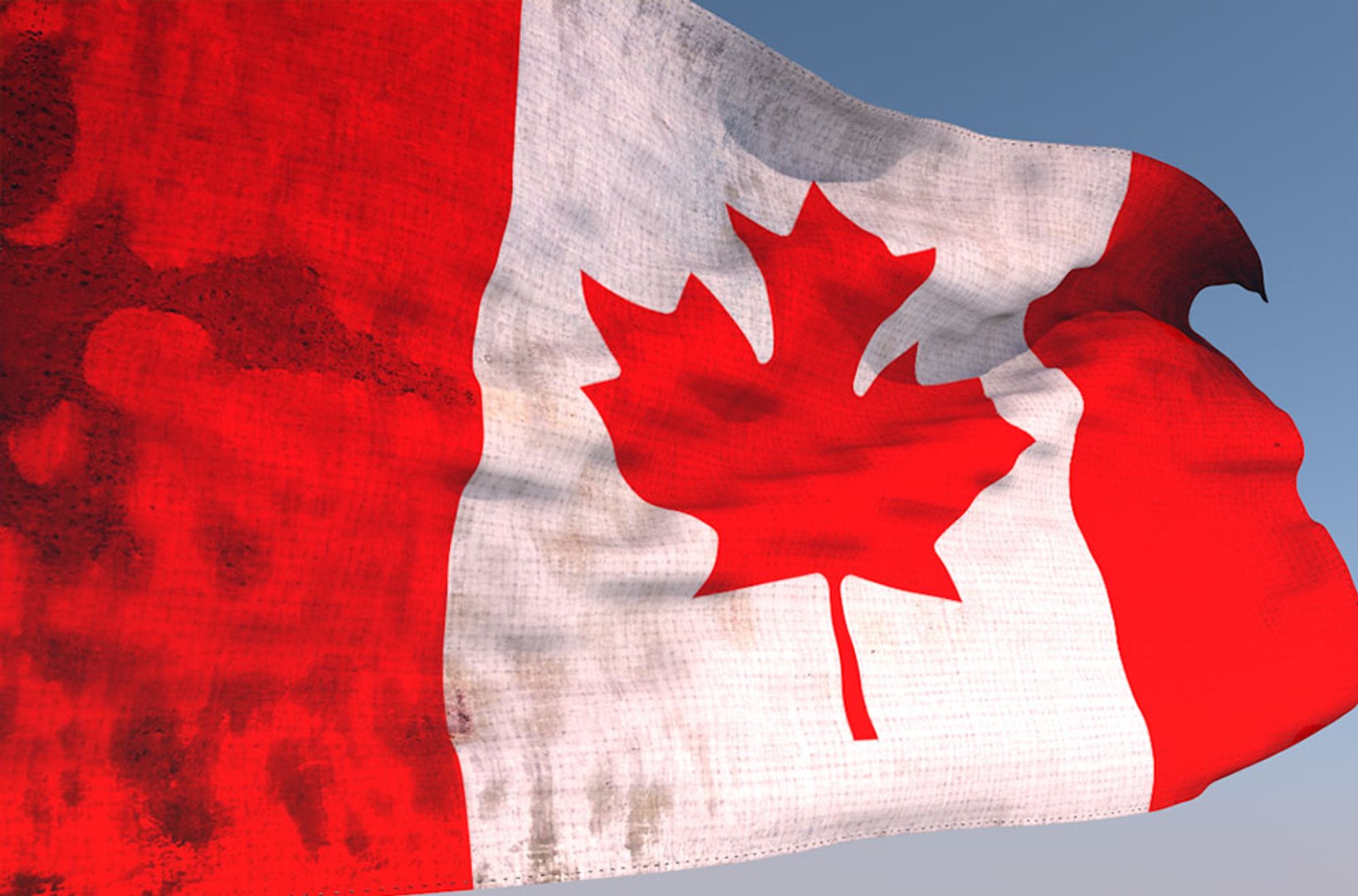 3D canadian waving flag animation model https://p.turbosquid.com/ts-thumb/j1/B8gyro/8BUA5EOJ/02/jpg/1587301664/1920x1080/fit_q87/82ee7de719bcd0480a7e89abe797edab154f0dba/02.jpg