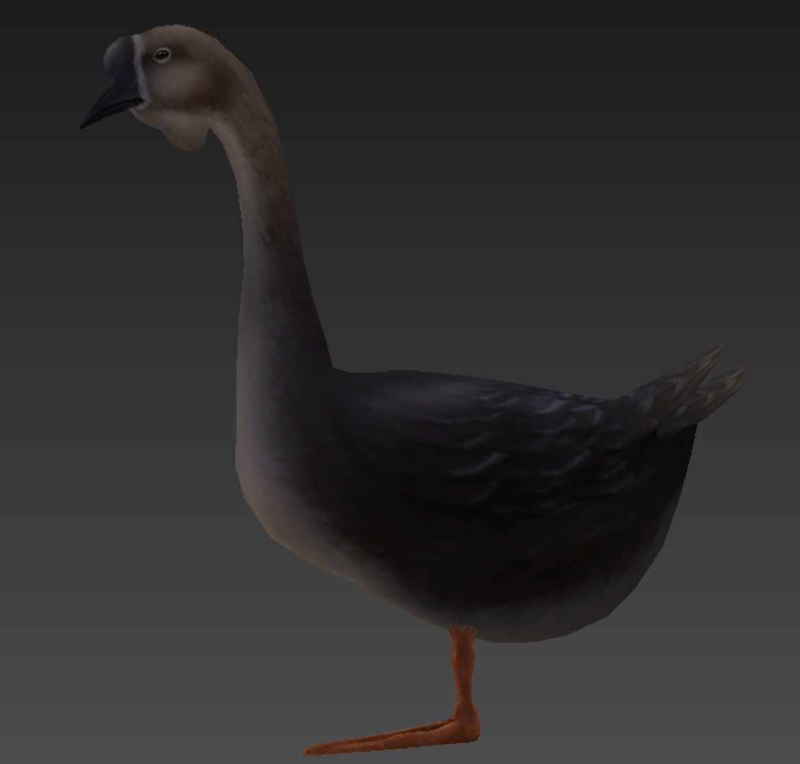 Goose 3D - TurboSquid 1608330