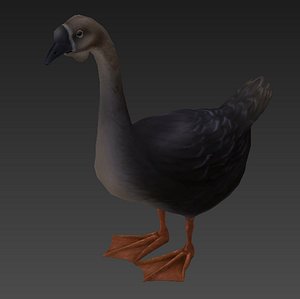 goose 3D